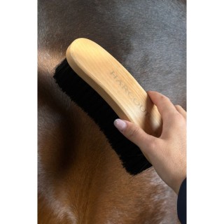 Brosse " Bloom " Harcour
