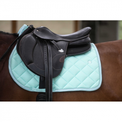 Amortisseur Lamicell shock absorb V22