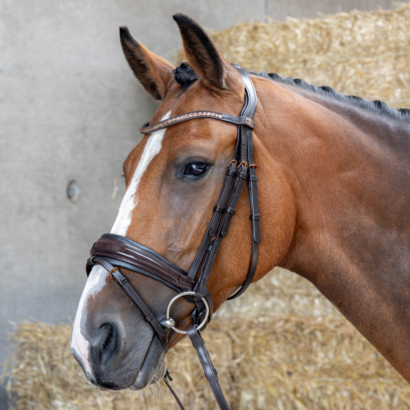 Bridon Copper