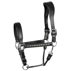 licol en cuir anatomic