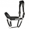 licol en cuir anatomic II