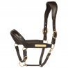 licol en cuir anatomic II