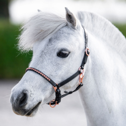 licol en cuir poney /...