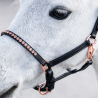licol en cuir poney / poulain crystal rosegold