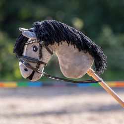 Bridon sunset hobby horse
