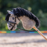 Bridon sunset hobby horse