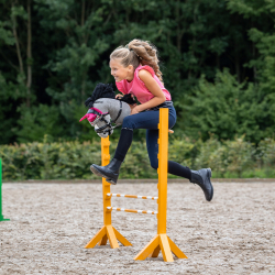 Bridon sunset hobby horse