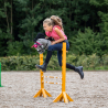 Bridon sunset hobby horse