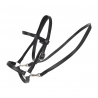 bridon sans mors hobby horse