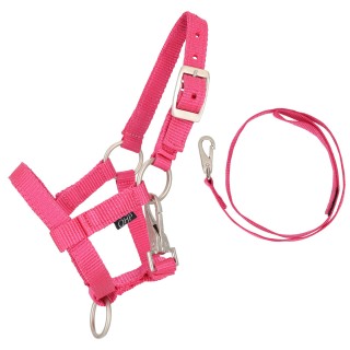 duo licol et longe hobby horse