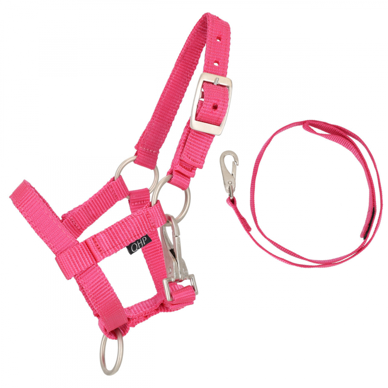 duo licol et longe hobby horse