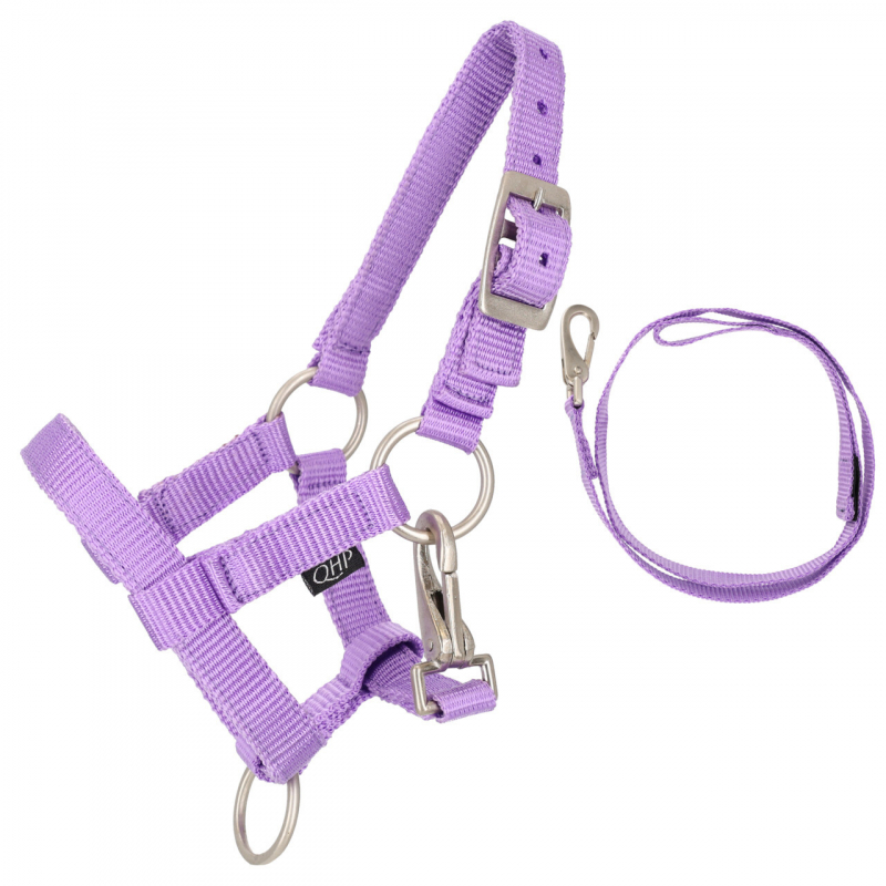 duo licol et longe hobby horse