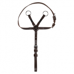 martingale hobby horse
