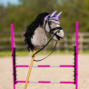 Bonnet hobby horse