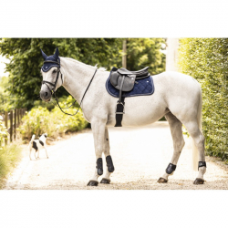 tapis de selle lami-cell luxin
