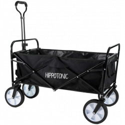 chariot quad hippotonic