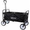 chariot quad hippotonic