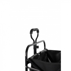 chariot quad hippotonic