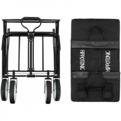 chariot quad hippotonic