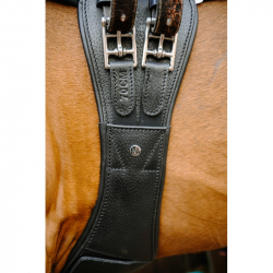sangle norton pro magnet