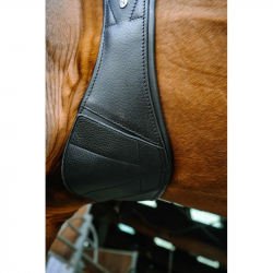 sangle norton pro magnet