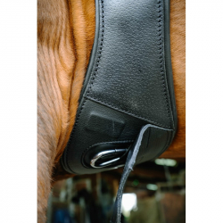 sangle norton pro magnet