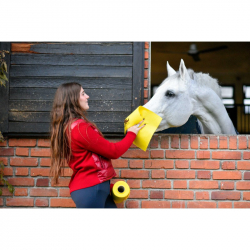 rouleau chiffon de nettoyage horsewipe