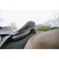 selle éric thomas hybrid-ek-confortech jump