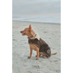 couverture pour chien usa...