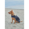 couverture pour chien usa bernie