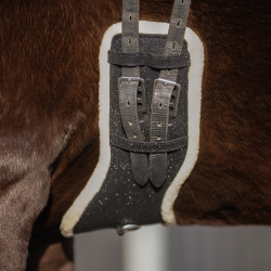 sangle de dressage glitter