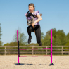 obstacle de saut hobby horse