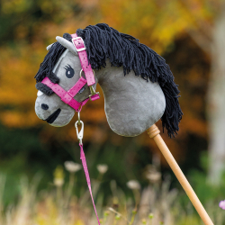 licol et longe hobby horse...