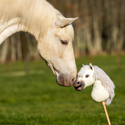 cheval bâton hobby horse nalanta