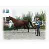Longe de travail Softlonge