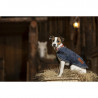 Couverture diego et louna pour chien