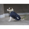 Couverture diego et louna pour chien