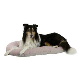 Coussin pour chien Golden