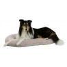 Coussin pour chien Golden