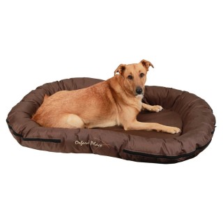 Coussin pour chien Oxford Place marron