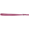 Laisse longue Colorado pour chien