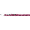 Laisse longue Colorado pour chien