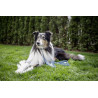 Laisse longue Colorado pour chien