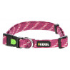 copy of Collier pour chien 25 - 35 cm