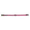 copy of Collier pour chien 25 - 35 cm