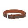 copy of Collier pour chien32.38
