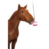 Support de friandise / jouet LIKIT