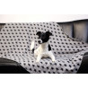 Couverture stella