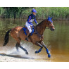 copy of Eventing guêtres ouvertes avant technical