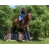 Guêtres de cross technical (antérieurs)